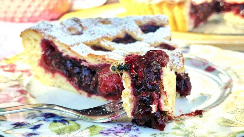 Limburgse vlaai